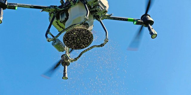 Sanft aus der Luft gestreut: Die Drohne bringt Gras- und Kleesamen aufs Feld – der erste Schritt zu mehr Bodenruhe und besserer Feldhygiene.