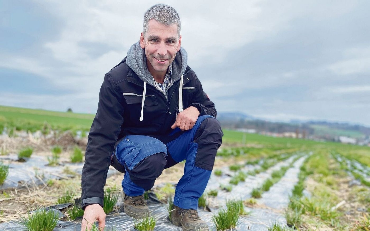Dank einer Kompostgabe ist der Schnittlauch drei Jahre lang mit Phosphor versorgt. Stefan Eichholzer sieht den Dünger auch als Bodenverbesserer.