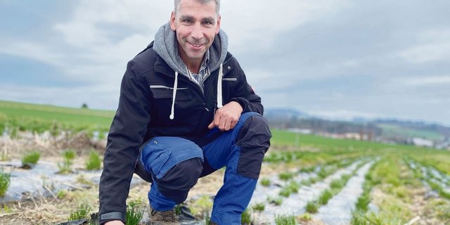 Dank einer Kompostgabe ist der Schnittlauch drei Jahre lang mit Phosphor versorgt. Stefan Eichholzer sieht den Dünger auch als Bodenverbesserer.