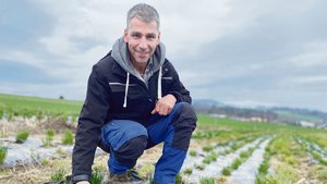 Dank einer Kompostgabe ist der Schnittlauch drei Jahre lang mit Phosphor versorgt. Stefan Eichholzer sieht den Dünger auch als Bodenverbesserer.