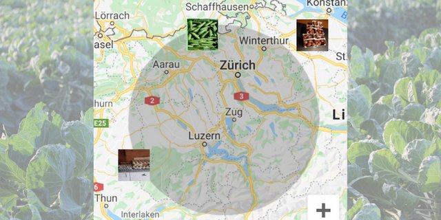 «Croppy» zeigt Angebote zum Retten von Obst und Gemüse in der Umgebung des Benutzers mit allen wichtigen Informationen dazu an. (Bild «Croppy» / Pixabay)