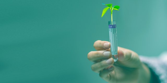 Risiken lassen sich aus Sicht von Scienceindustries nur durch innovative Forschung erreichen. (Symbolbild Pixabay)