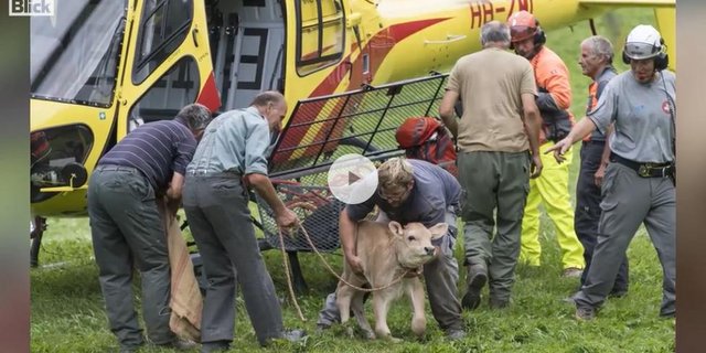 Die Kühe von Ganzoni konnten rechtzeitig von dem Bergsturz flüchten. (Screenshot Blick.ch)
