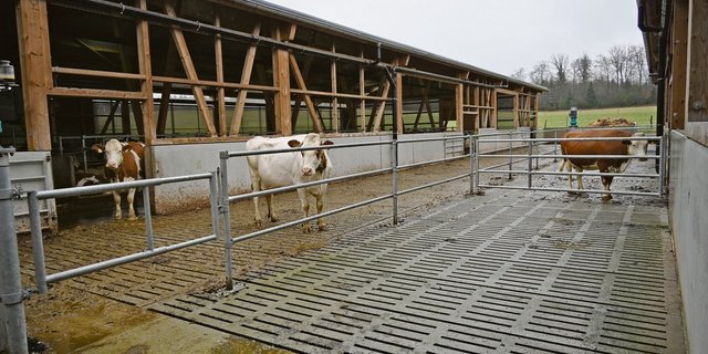Das viele Abwasser aus den Laufhöfen gelangt auch in die Güllegruben. Jetzt noch umso mehr.(Bild aw)