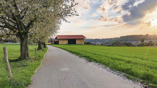 «Wozu brauchst du Lohn? Du hast ja Kost und Logis und erst noch eine schöne Aussicht!» Damit gab sich eine Bäuerin lange ab. Bis sie die Demütigungen nicht mehr aushielt und ging.