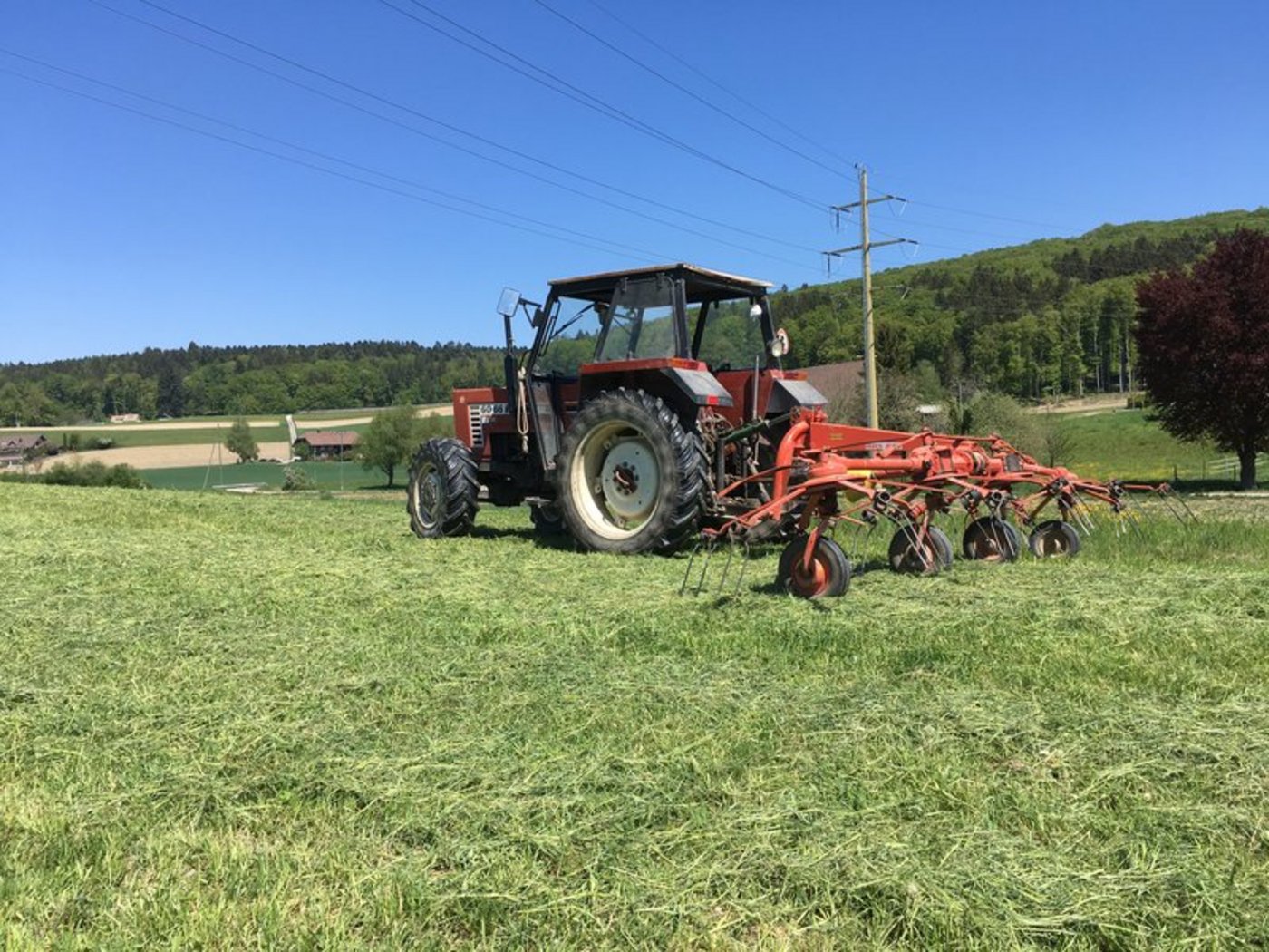 Naturwiesen, Weiden und Kunstwiesen machen den grössten Teil der landwirtschaftlichen Nutzfläche in der Schweiz aus. (Bild BauZ)