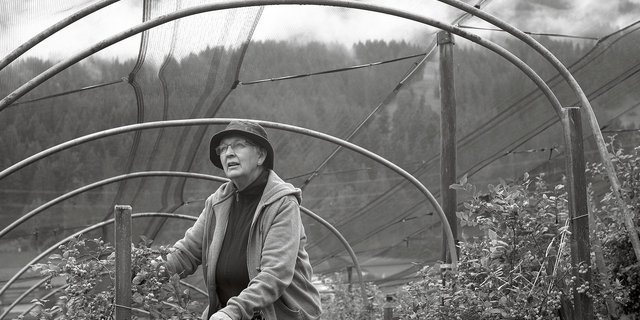 Maria mit ihren geliebten Heubeeri-Büschen und den Wäldern des Hohgants im Hintergrund.(Bild Pinaki)