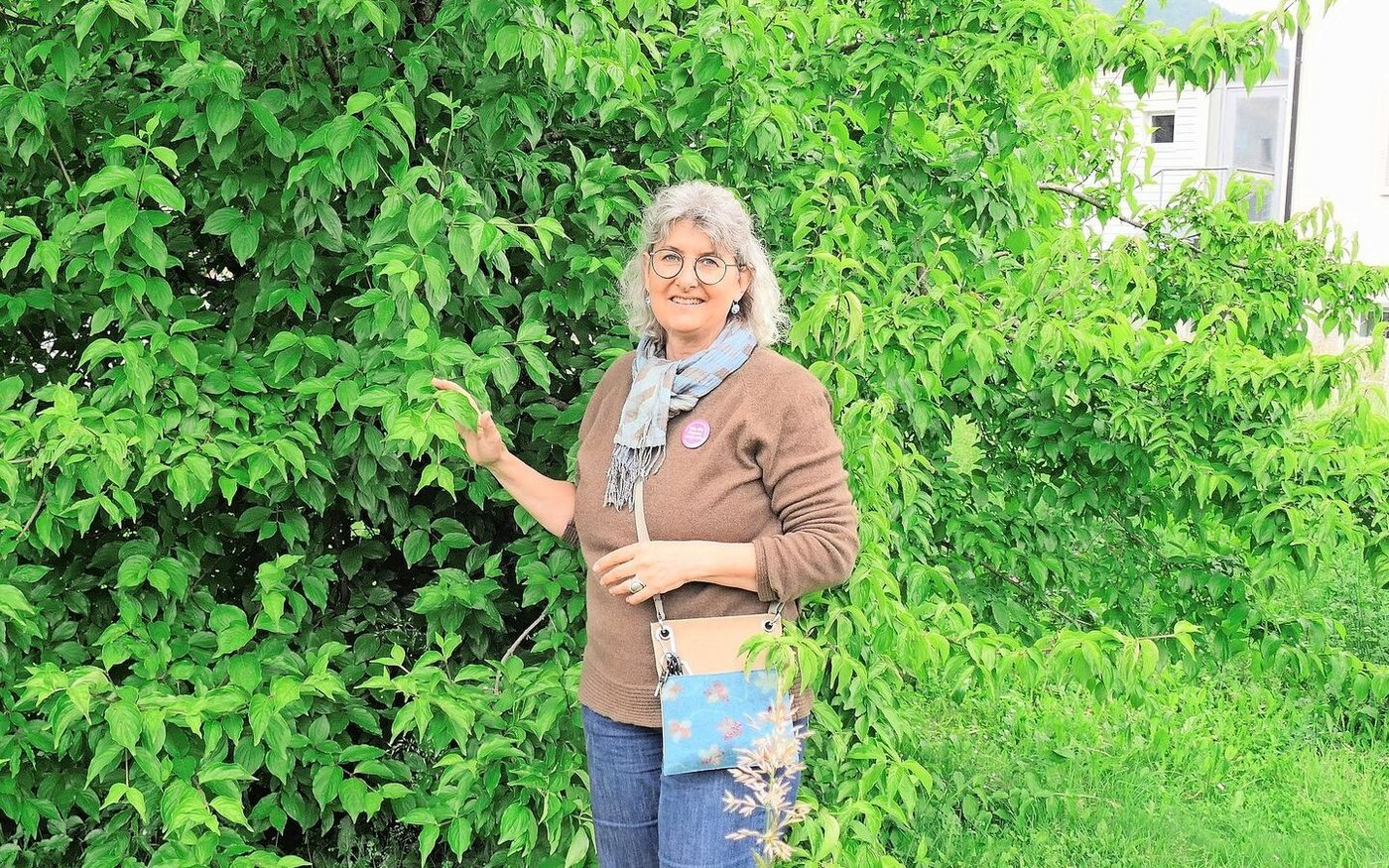 Sabine Bosshard vor einer Kornelkirsche im Schulgarten. Sie weiss, was man in der Küche aus den Früchten zaubern kann.