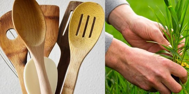 Zugegeben, es ist etwas stereotyp. Schliesslich können auch Landwirte die Landfrauenküche schauen und Bäuerinnen das Landi-Webinar verfolgen. Auswahl gibt es jedenfalls. (Bilder Pixabay/ Landi)