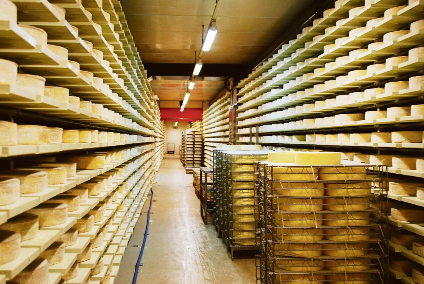 Produzenten, deren Milch verkäst wird, bekommen eine Verkäsungszulage. (Bild BauZ)