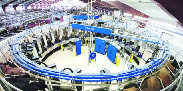 Steht so eins schon bald in Grangeneuve? Ein automatisiertes De-Laval-Karussell mit fünf Armen (zwei zum Anrüsten, zwei zum Anhängen, einer zum Zitzentauchen) in Südschweden. (Bild zVg)