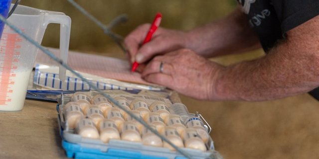 Nach der Lockerung des Lockdowns werden verschiedene Aussendienstliche Angebote wieder aufgenommen. (Bild BauZ)
