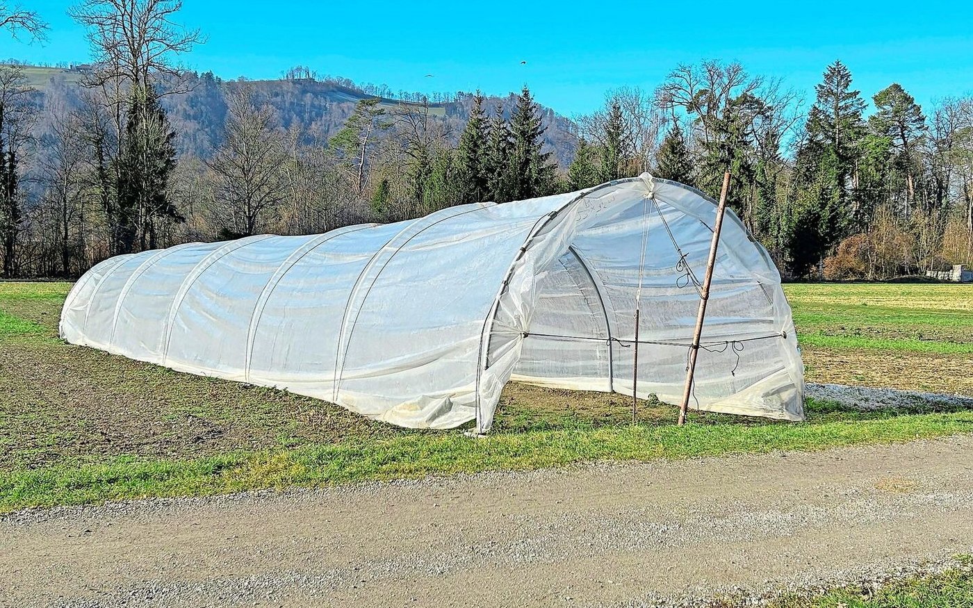 «Leicht versetzbare Bauten» wie Folientunnel unterliegen nicht der gesetzlich genormten Versicherungsregelung und müssen zusätzlich versichert werden.   