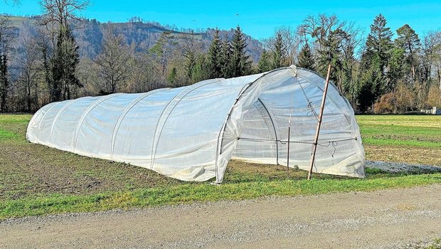 «Leicht versetzbare Bauten» wie Folientunnel unterliegen nicht der gesetzlich genormten Versicherungsregelung und müssen zusätzlich versichert werden.   