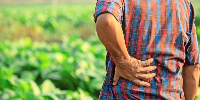 Die Taggeldversicherung Agri-revenu+ bietet gesundheitlich vorbelasteten LandwirtInnen eine sinnvolle Möglichkeit, sich abzusichern.