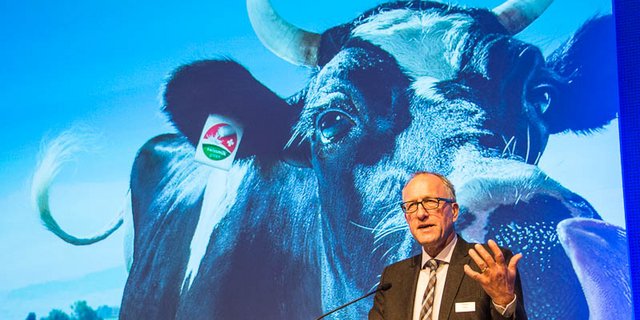 Peter Hegglin am Milchforum in Bern: der Präsident der Branchenorganisation Milch erklärt, dass der Start des Grünen Teppichs geglückt ist. Im Hintergrund die SMP-Werbekuh Lovely. (Bilder hja)