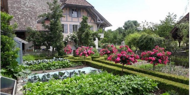 Der ProSpecieRara-Garten von Annekäthi Nyffeler in Walliswil BE. (Bild ProSpecieRara) 