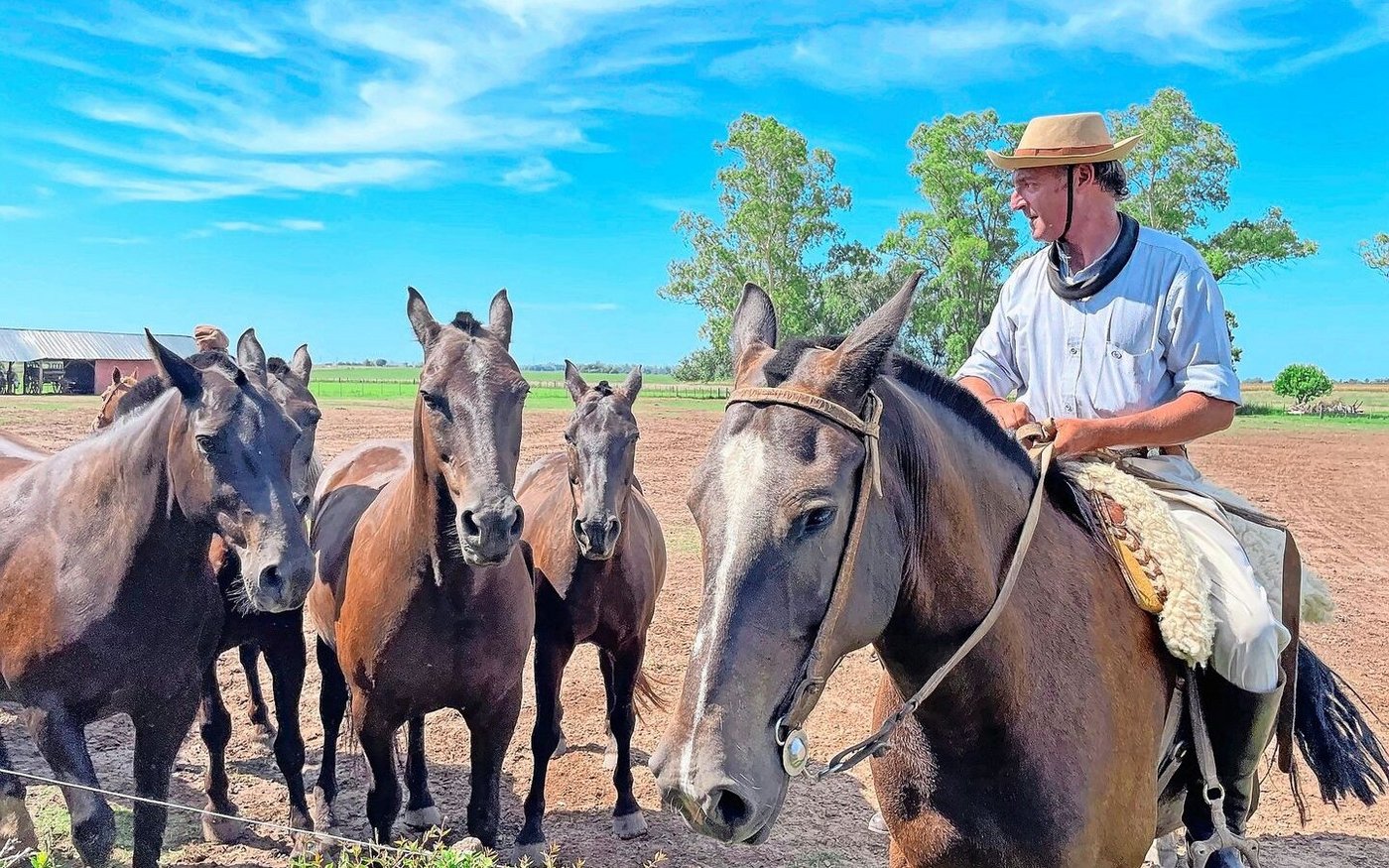 Ein südamerikanischer Viehhirte, genannt «Gaucho», bekannt für seine Reitkunst, traditionelle Kleidung und Unabhängigkeit.