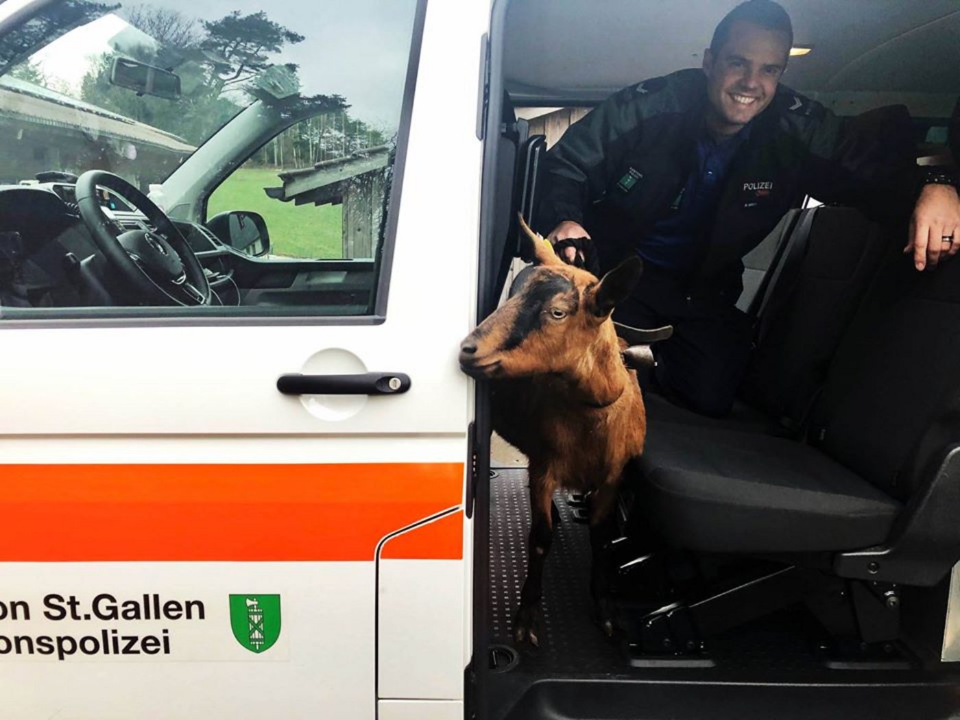 Gar nicht verunsichert schaut sich Nutella um – wo sie wohl als nächstes hingegen würde? (Bild Kapo LU)