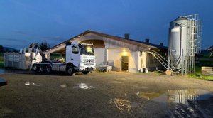 Die meisten Hühner waren beim Eintreffen der umgehend alarmierten Einsatzkräfte bereits ertrunken. (Bild Kapo SH)