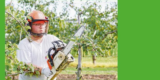 Beat Streckeisen macht sein 1. Lehrjahr zum Obstfachmann bei Vinz Bütler in Wädenswil ZH (Bild aus der letzten Saison). (Bild Streckeisen)