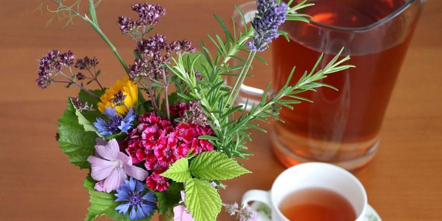 Alle diese Pflanzen eignen sich als Teekräuter: Gewürzfenchel, Dost, Rosmarin, Lavendel, Nelken, Korn- und Ringelblumen, Malven, Blätter von Himbeer und Brombeer.