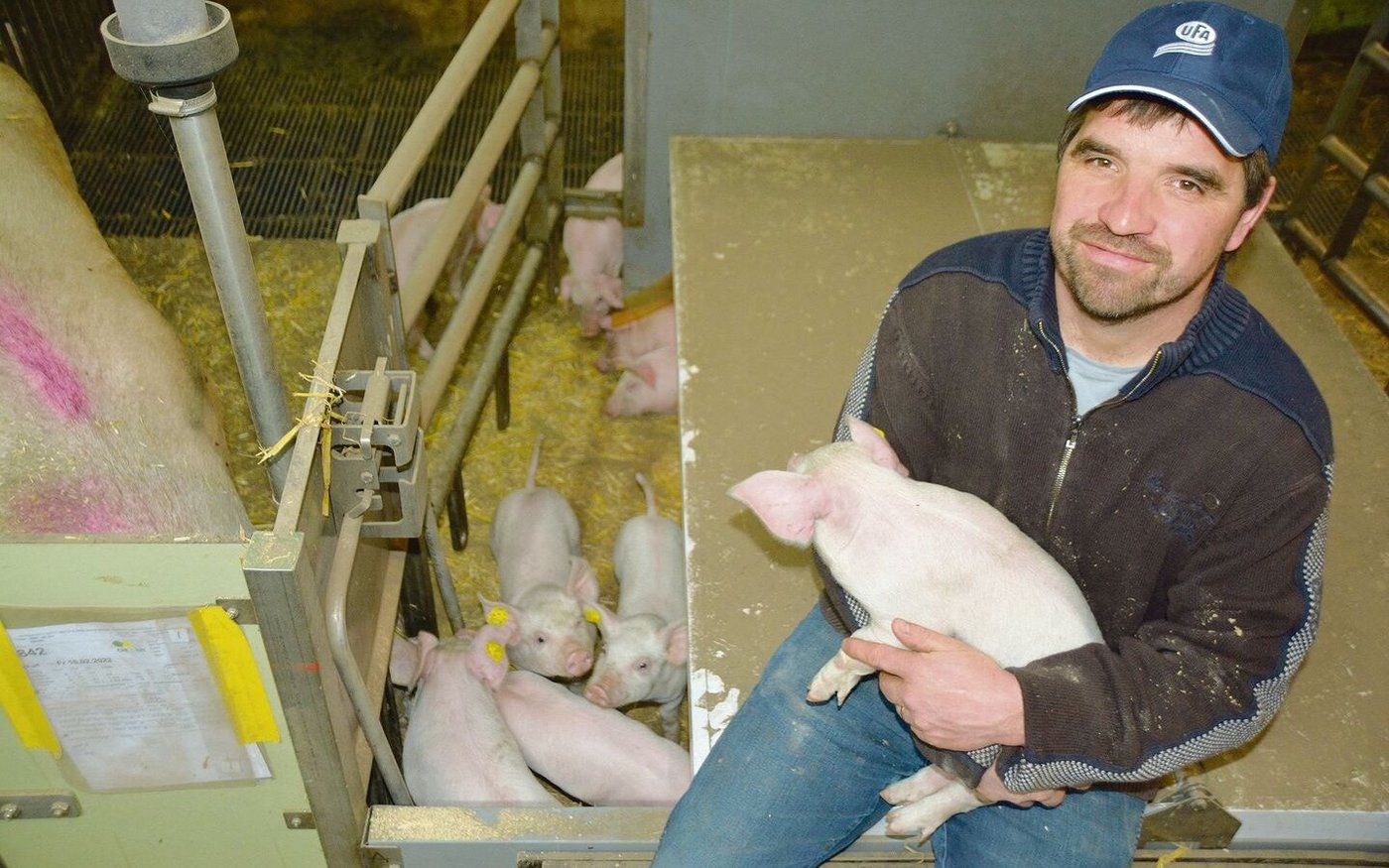 Zufrieden: Roger Sommer bei einer der 20 neuen Buchten im 2018 erbauten Abferkelstall.