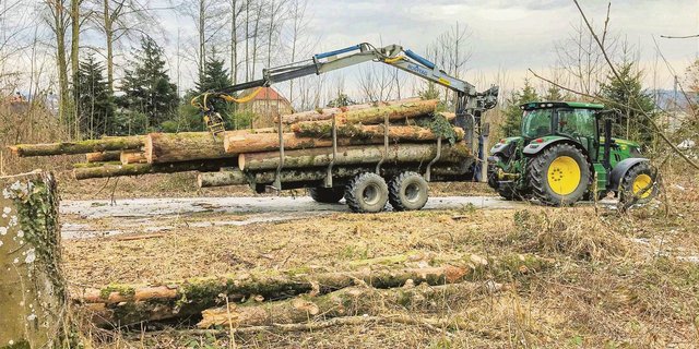 Lukas Streit und sein Vater sind beim Holzen ein eingespieltes Team, jeder kennt seine Aufgaben. So kommen Vater und Sohn gut voran. (Bild Lukas Streit)