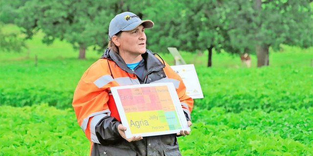 Sonja Basler, Strickhof-Fachbereich Ackerbau, hat das Versuchsfeld angelegt und ist für die Betreuung verantwortlich.
