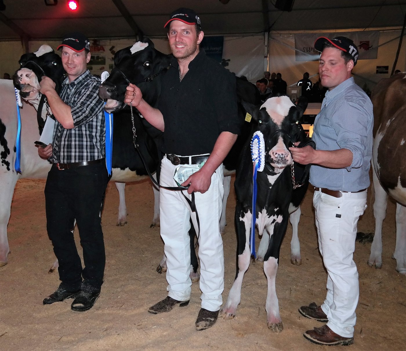 Siegergruppe HO: André Rüttimann, Hohenrain, 1. Rang mit Ruegruet Atwood Pepita; Mathias Steiner, Wilen b. Wollerau, 2. Rang mit Petitclerc Archival Salta; Peter Heinzer Walchwil, 3. Rang mit Heinzer Gen. Chip Candy.