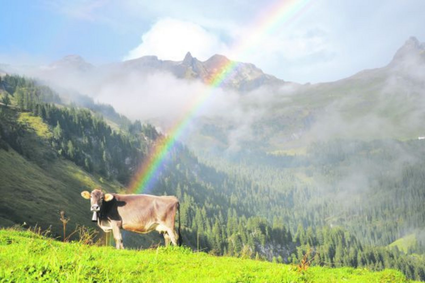 Auf der Alp herrscht nicht immer eitel Sonnenschein, aber auch hier gilt: Nach dem Regen folgt irgendwann wieder die Sonne.  Mit dem Unterschied, dass in den Bergen oben alles etwas intensiver, unmittelbarer und dadurch eindrücklicher ist. (Bild Andrea Gysin)