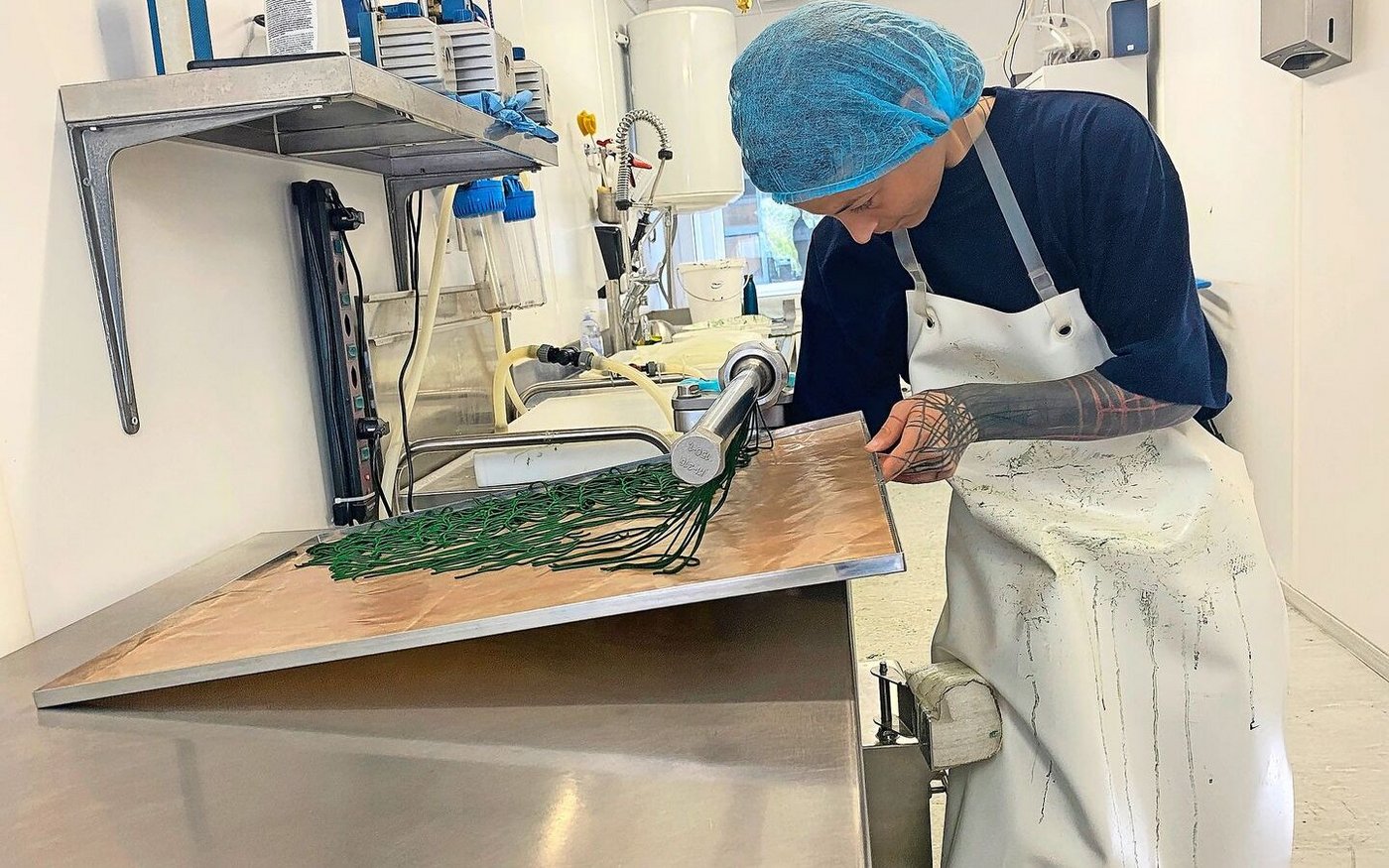 Eine Mitarbeiterin dreht die Spirulina-Masse durch einen Fleischwolf. Die feinen Stränge kommen anschliessend in den Trockenofen.
