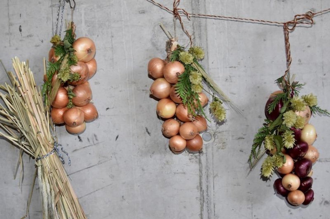 Zwiebelzöpfe sind eine kreative Art, Zwiebeln zu überwintern. (Bilder Esther Thalmann)