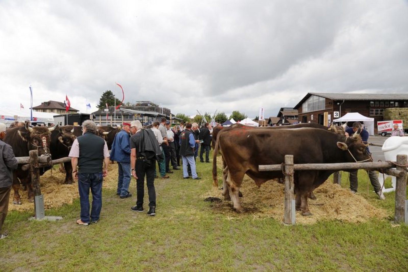 Solche Bilder wird es dieses Jahr nicht zu sehen geben. (Bild lid)