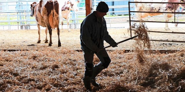 Die persönliche und betriebliche Situation ab und zu kritisch zu hinterfragen, schadet nie und gehört zum Unternehmertum.