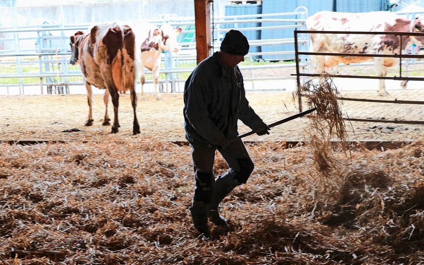 Die persönliche und betriebliche Situation ab und zu kritisch zu hinterfragen, schadet nie und gehört zum Unternehmertum.