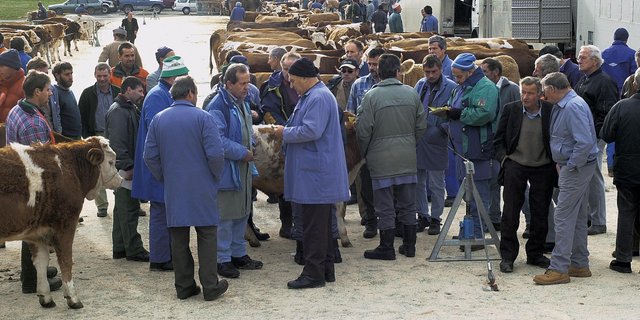Schlachtviehmärkte sind ab 11. Mai wieder erlaubt. (Bild Archiv)
