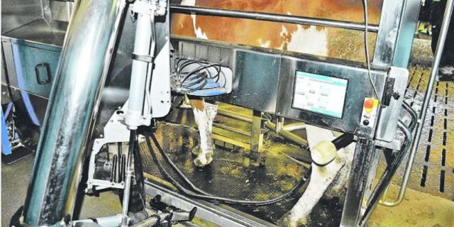 Ein Melkroboter ermöglicht eine geringere Arbeitsbelastung und eine flexiblere Betriebsführung. (Bild zVg)