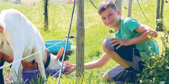 Michael will Bauer werden. Die Ziege ist ein Preis von einem Schwingfest. (Bilder Simone Barth)