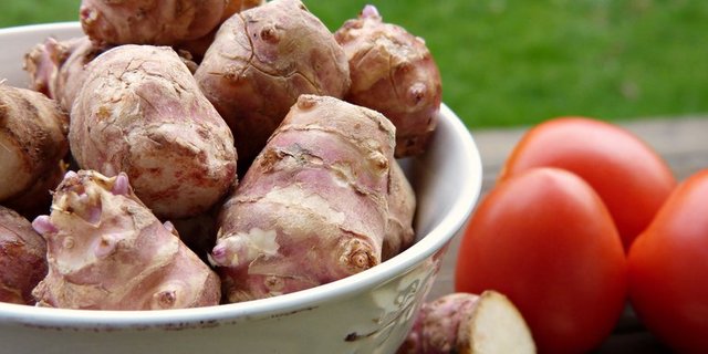 Den im deutschsprachigen Raum geläufigen, exotischen Namen hat die Wurzel einem brasilianischen Indianerstamm zu verdanken. (Bild pd)