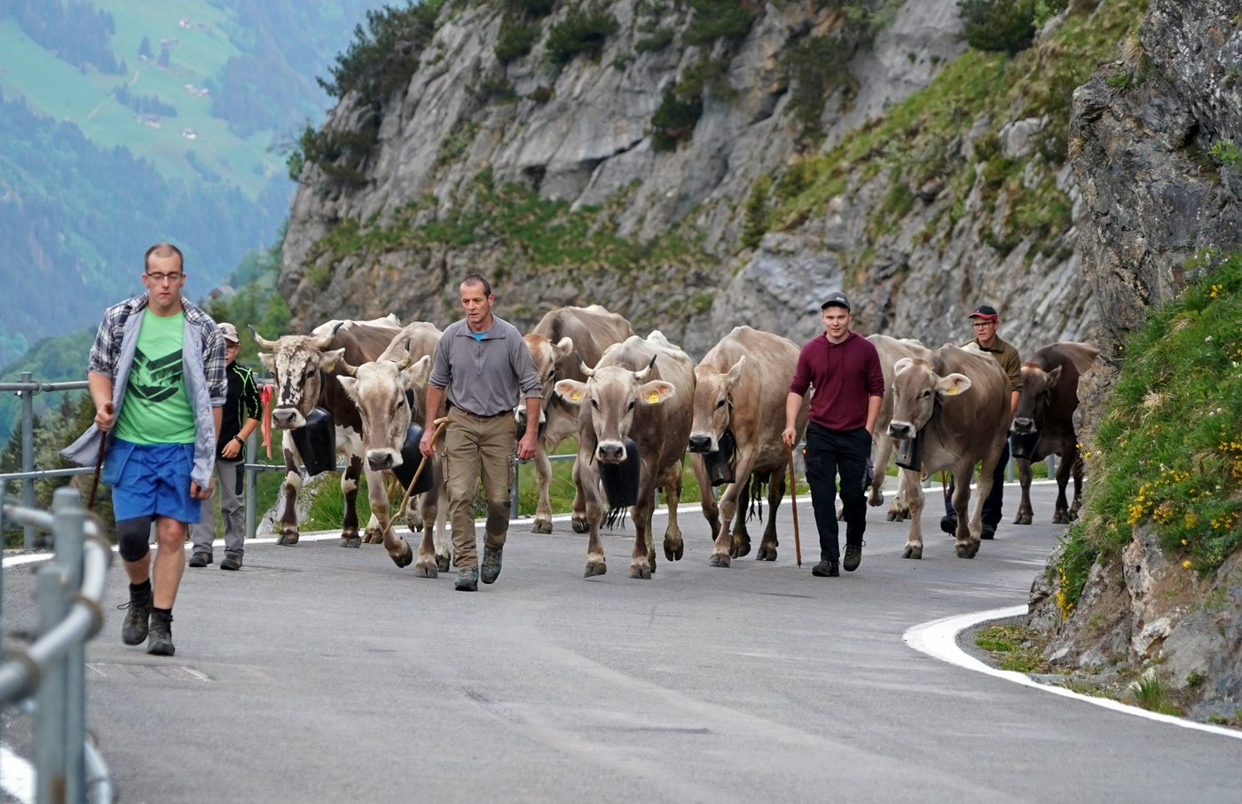 Die Urnerboden Älpler durften zum ersten Mal im Mai zu Alp fahren. (Bilder zVg)