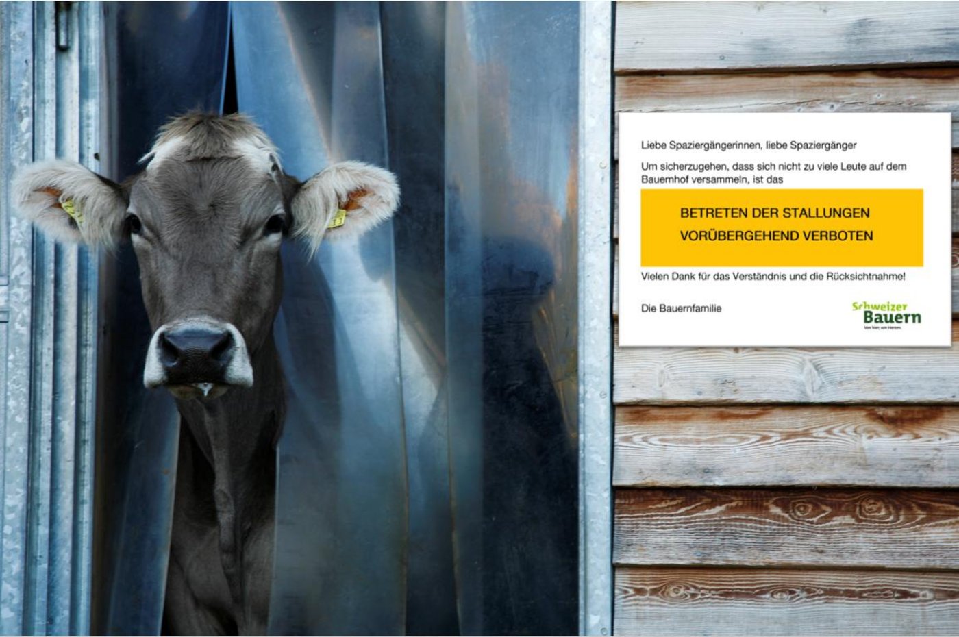 Befestigen Sie das Plakat gut sichtbar am Eingang des Stalles. (Bild lid)