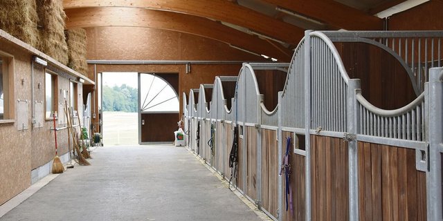 So sieht beispielsweise ein Stall aus, der mit dem Gütesiegel «der gute Stall STS» ausgezeichnet wird: Der Pensionsstall von Romy Schaad in Oberbipp BE.