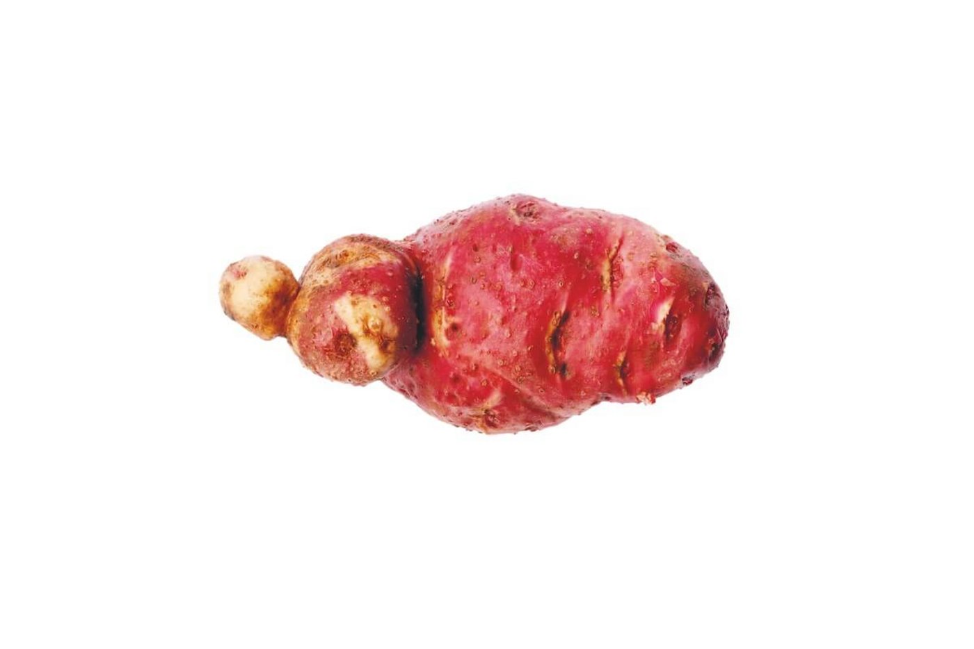 Kartoffeln müssen nicht schön sein, sondern gut schmecken. (Bild: Eveline Dudda)