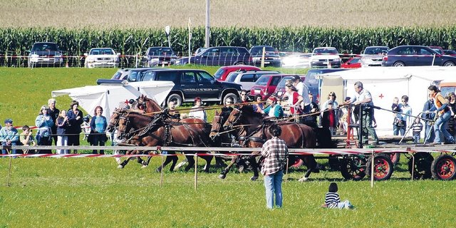 Es ist eines der Rennen, das in Schwarzenburg zahlreiche Zuschauer in seinen Bann zog: das Brückenwagen-Galopprennen, hier aus dem Jahr 2006. Ebenso gross ist aber die Kritik daran. Die Rennen seien tierschutzwidrig.