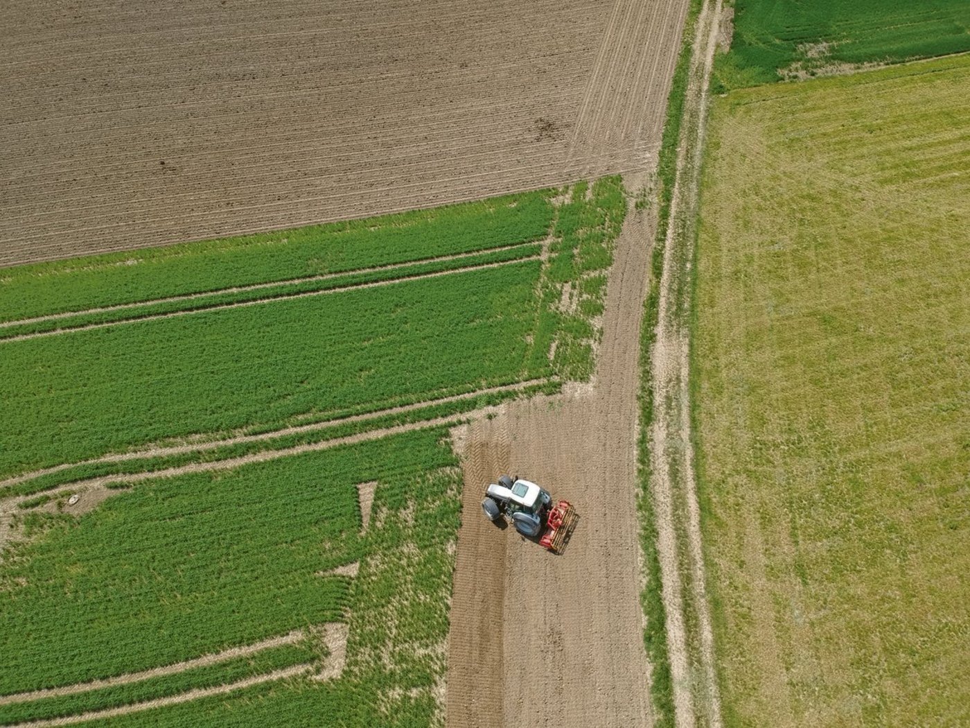 Die Branche ist gefragt: Landwirtschaft habe viele Chancen, zum Klimaschutz beizutragen, findet Landwirtschaft Aargau. (Symbolbild Ruth Aerni)