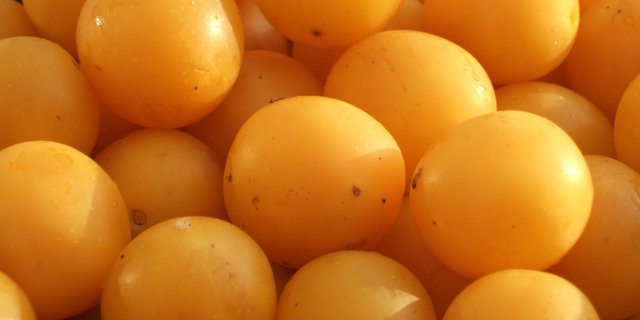 Die süsse Frucht wird oft vergessen. (Bild CC BY-SA 3.0, https://commons.wikimedia.org/w/index.php?curid=276603) )