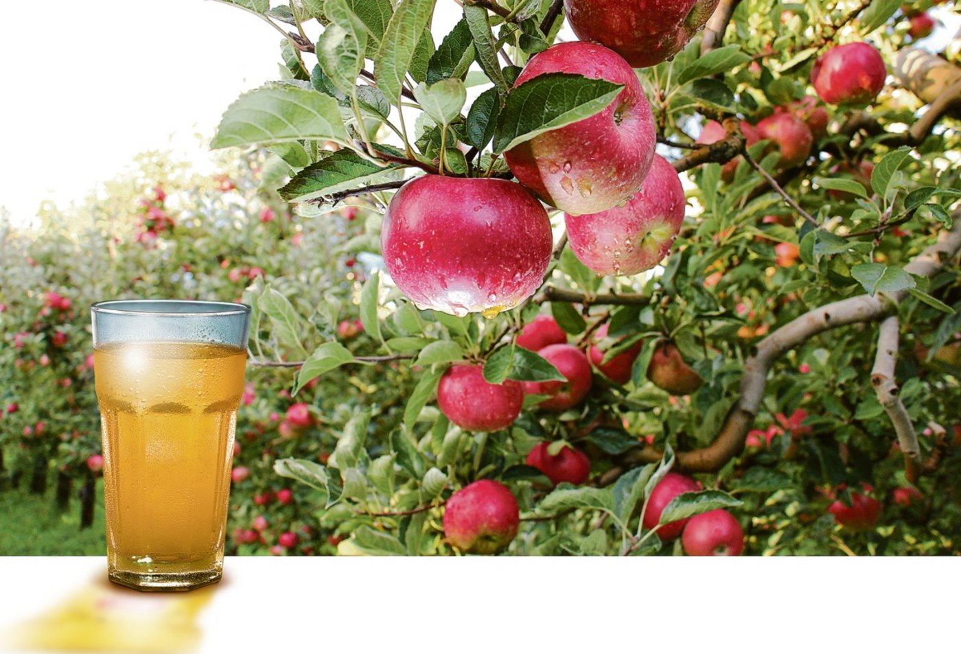 Hinter einem erfrischenden Apfelsaft steckt eine komplexe Zusammenstellung aus süss und sauer.(Bild zVg)