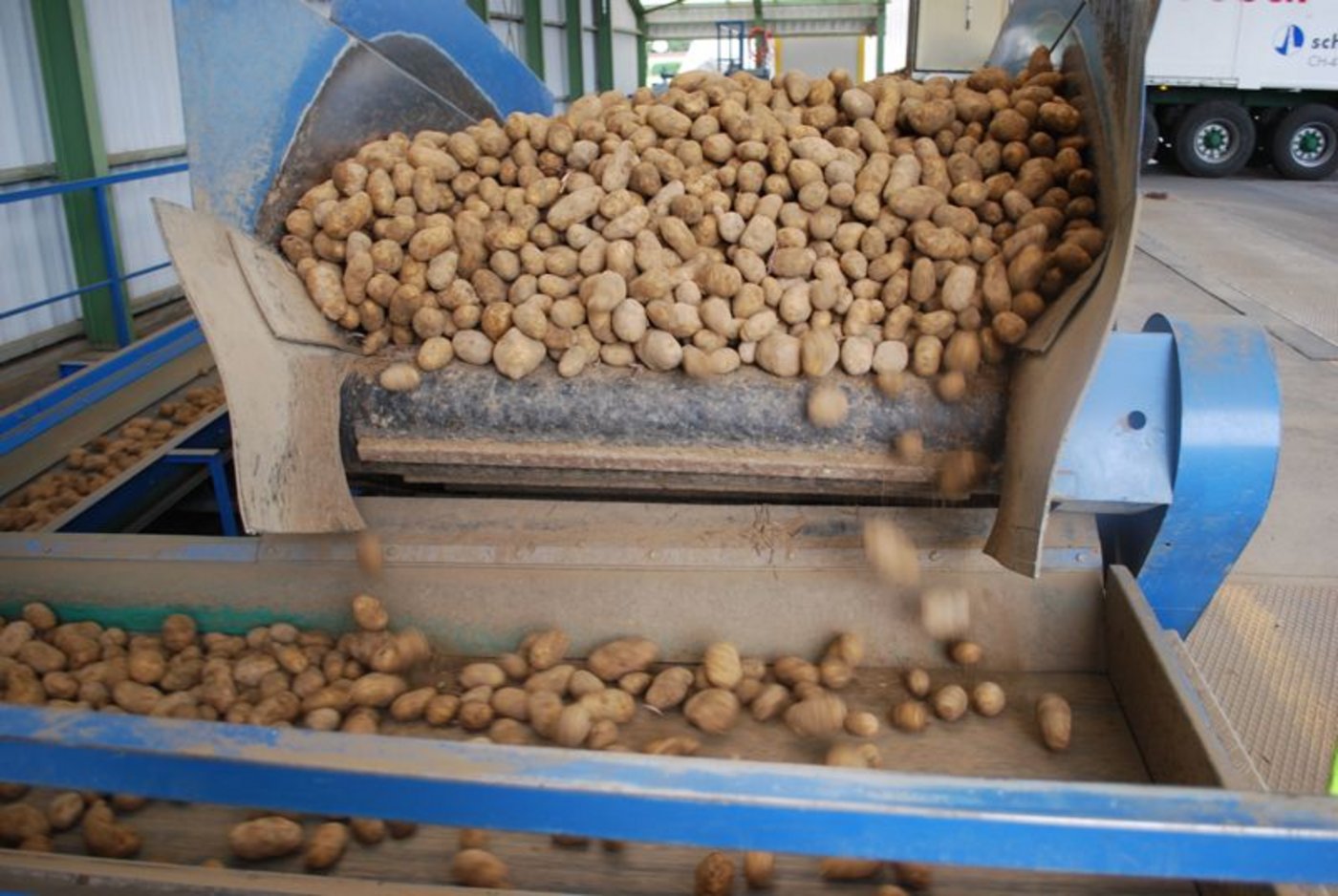 Die grosse Kartoffelernte in diesem Jahr bringt auch Probleme mit sich. (Bild BauZ)