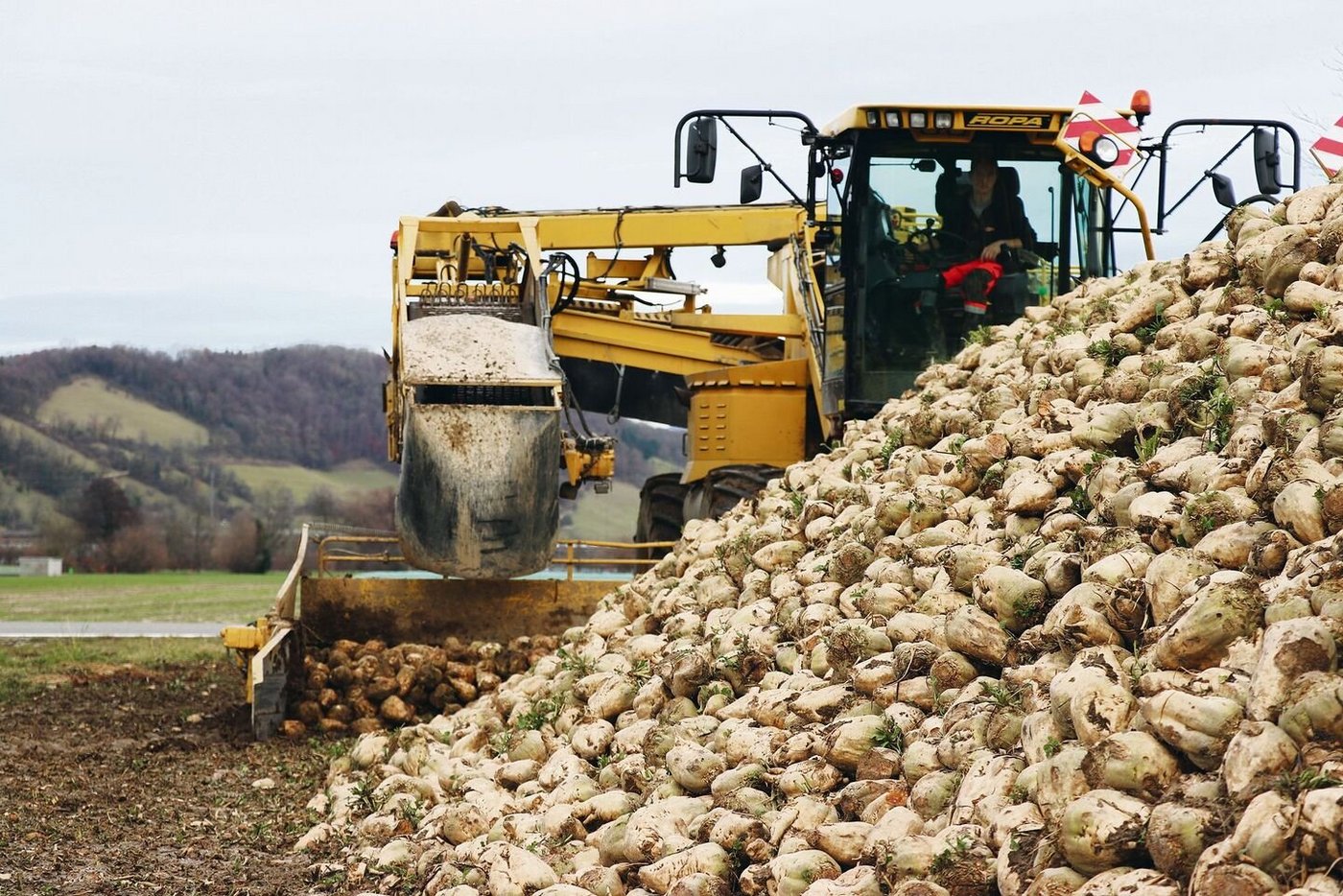Ab Woche 39, also gegen Ende September, sind die beiden Rübenmäuse des Rübenumschlags Mittelland wieder im Einsatz.